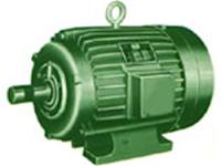 GSM 50 Series AC Geared Induction Motors Manufacturer Supplier Wholesale Exporter Importer Buyer Trader Retailer in Hyderabad Andhra Pradesh India